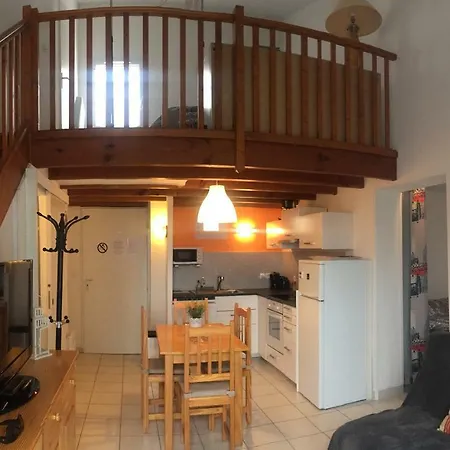 T3 En Duplex Avec Jardin Et Piscine